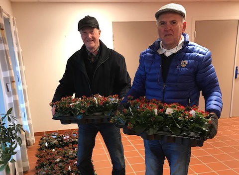 Lions Club Malvik ga ut blomster